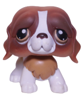 #0229 Saint Bernard